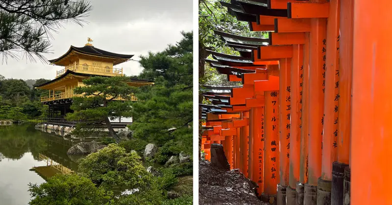 京都千本鸟居旅拍 - 今日吃瓜